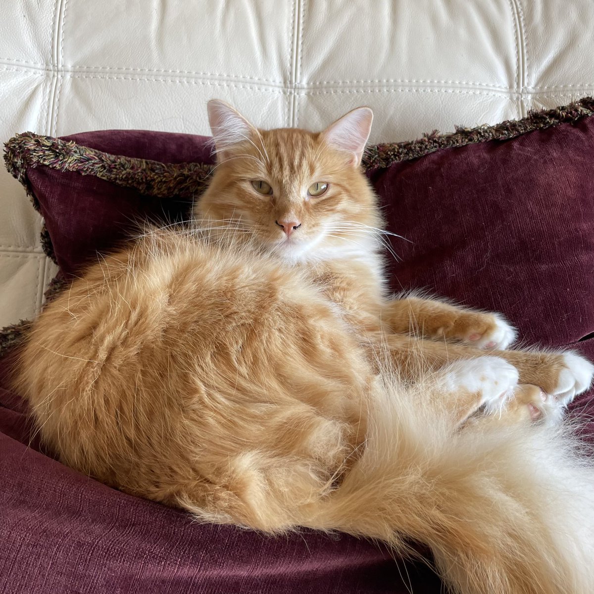 Jeannie Evers tweet media