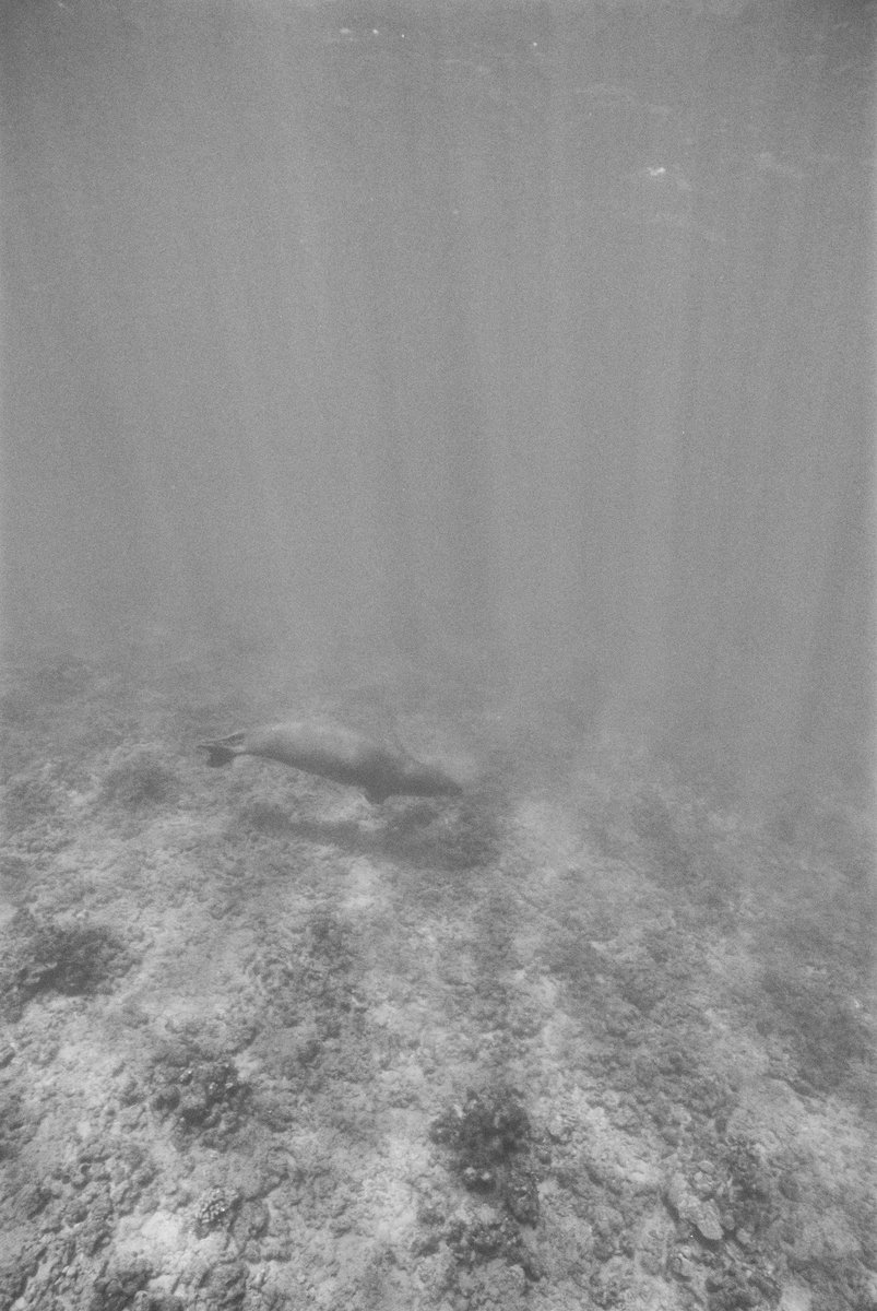 Katharine Kollman tweet media