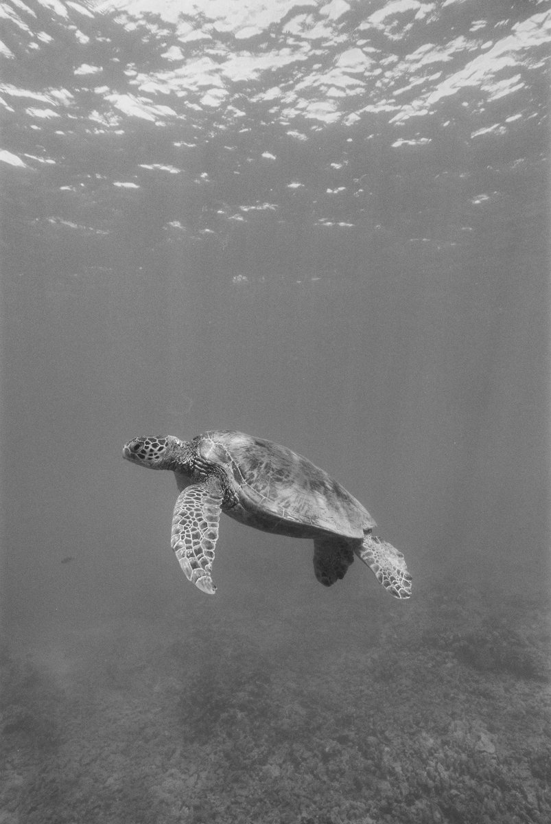 Katharine Kollman tweet media