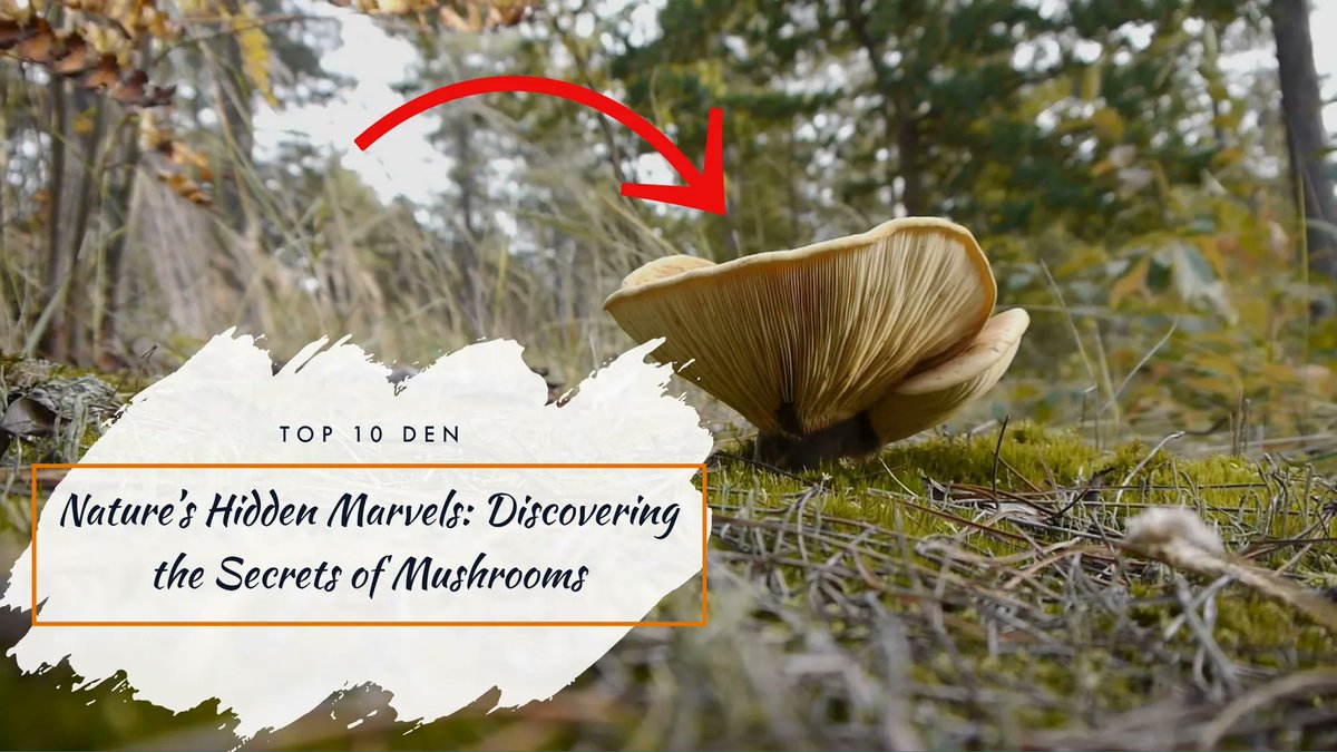 🍄Dive headfirst into the fungi kingdom! Unearth the magical world beneath your feet, where shrooms are the superheroes of the soil. 🌍 They're not just for pizza anymore, folks! #NatureMarvels #FungiFacts 🍄💫 
buff.ly/3p3qtCB