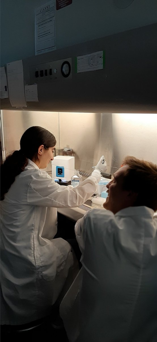 So grateful to the hosts, organizers, speakers, SPRINT mentors, trainees and individuals living with MS who generously shared their experiences with us at this year's #endMSSummerSchool at ULaval à Québec. Merci beaucoup!