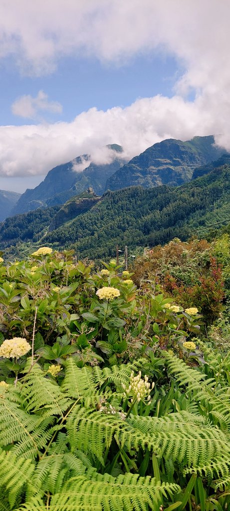 Mike1981__'s tweet image. #Viewpoints from West of #Madeira

#Portugal
#Funchal
#Magic
#Scenery 
#miradouro