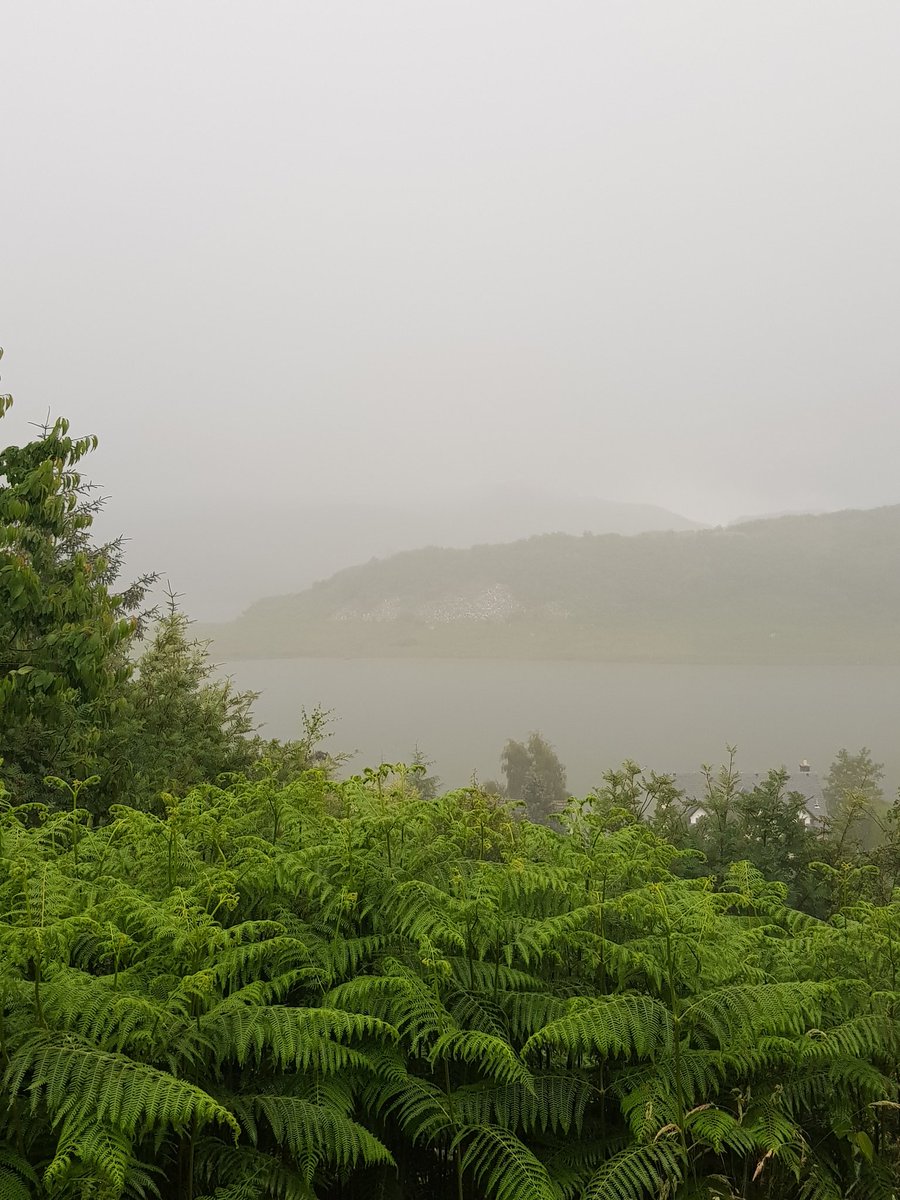 BettyShmem's tweet photo. It. Erm. Got a bit wet. #WestCoast #UKRainforest https://t.co/sH1tUmHPjt