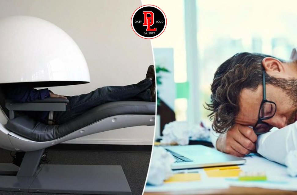 DailyLoud's tweet photo. Research shows that people who nap at work have bigger brains &amp; are more productive 👀 https://t.co/DVWFpA9GHs