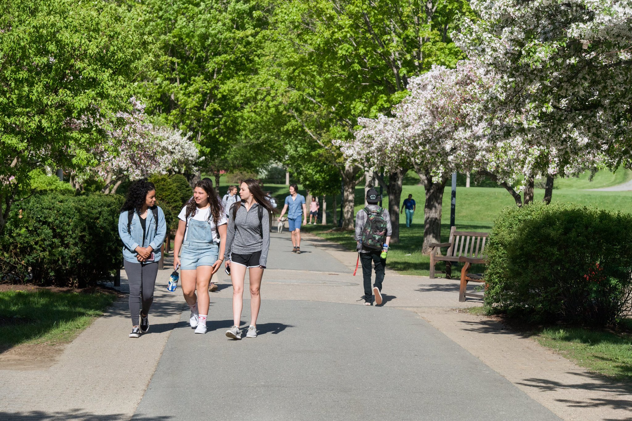 Vermont Academy on Twitter "Our campus is open to visitors for summer