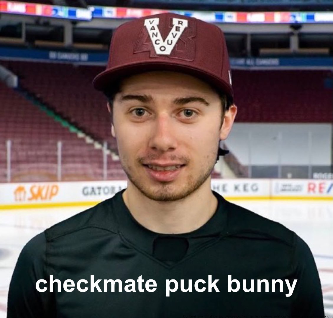 Tsawyer on Twitter "I hate Gary Bettman so much, I'd rather use the