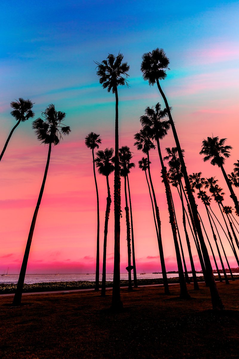 LuggageFree's tweet photo. Red, white, and blue from sea to shining sea. Happy 4th from your friends at Luggage Free! 🇺🇸

#4thofJuly #July4th https://t.co/XWUZoKT9Wb