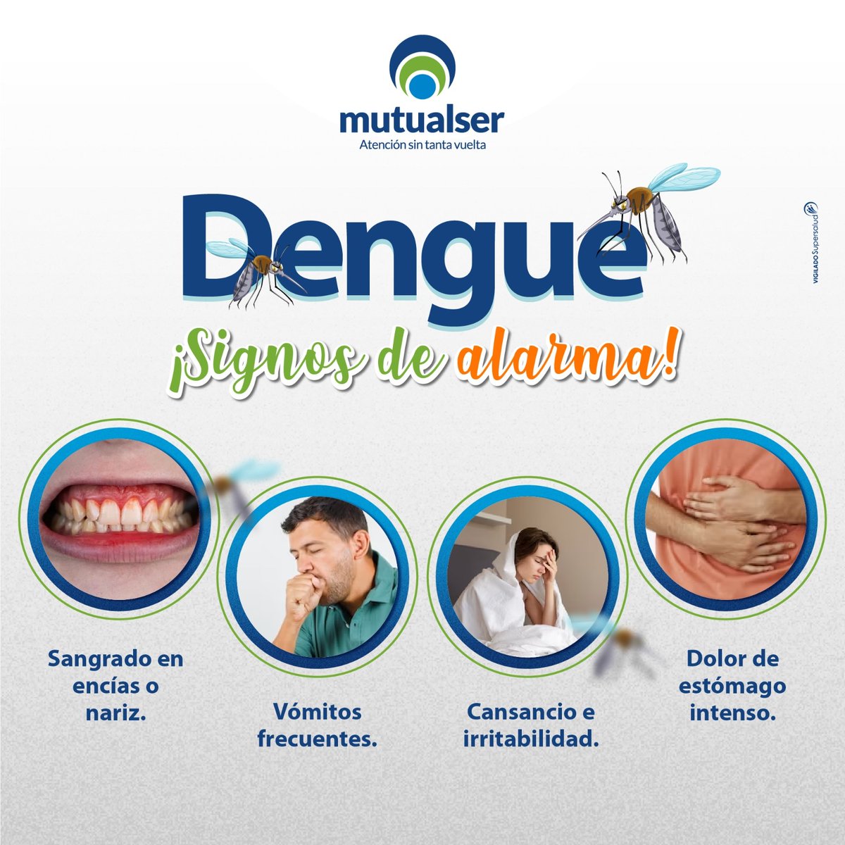 mutualser_'s tweet photo. Si presentas alguno de estos síntomas, no te automediques, hidrátate y acude al centro médico más cercano.
⚠️ ¡Cuidado con el dengue!
#mutualsereps #mutualser #mutualpensandoenti #JuntosContraelDengue https://t.co/C5gbrhSBWX