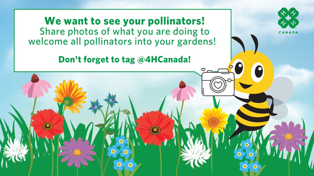 4HCanada's tweet image. As #PollinatorWeek winds down, we want to see your #Pollinators! Share photos of what you are doing to welcome all pollinators to your gardens! Don’t forget to tag us and use the hashtag #PollinatorWeek2023!    #ProudtoBeea4Her #Gardening

@syngentacanada