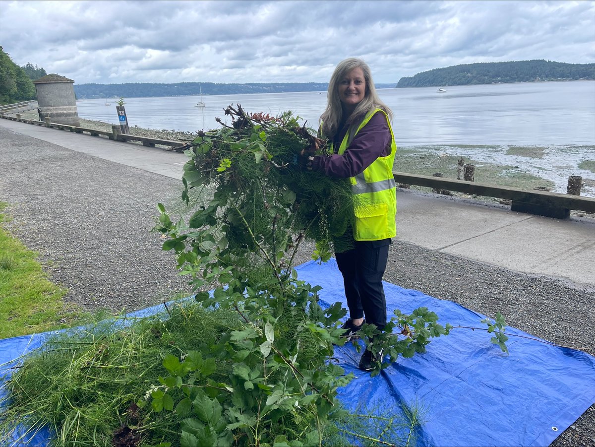 TOTE_Maritime's tweet photo. This week a volunteer group from the Tacoma office went down to #PointDefiance park and filled an entire truck bed of invasive weeds. Thanks to @metparkstacoma and #TeamTOTE for getting in the weeds!
#TacomaCommunity #AlaskaShipping #Chipin https://t.co/yTtfQEc0Vx