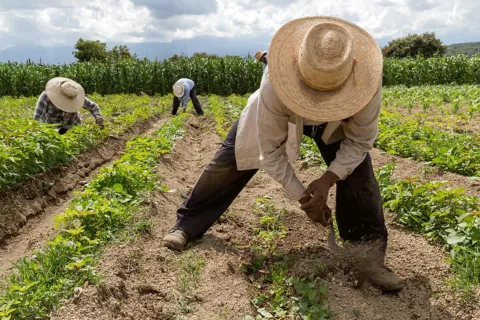 minutaagro's tweet photo. El futuro del sector agrícola, es incierto, “si la situación con el combustible no se resuelve pronto, los campos quedarán vacíos” - Minuta Agropecuaria https://t.co/TO0yr7pQHM #23Junio https://t.co/wkhslIaGjW