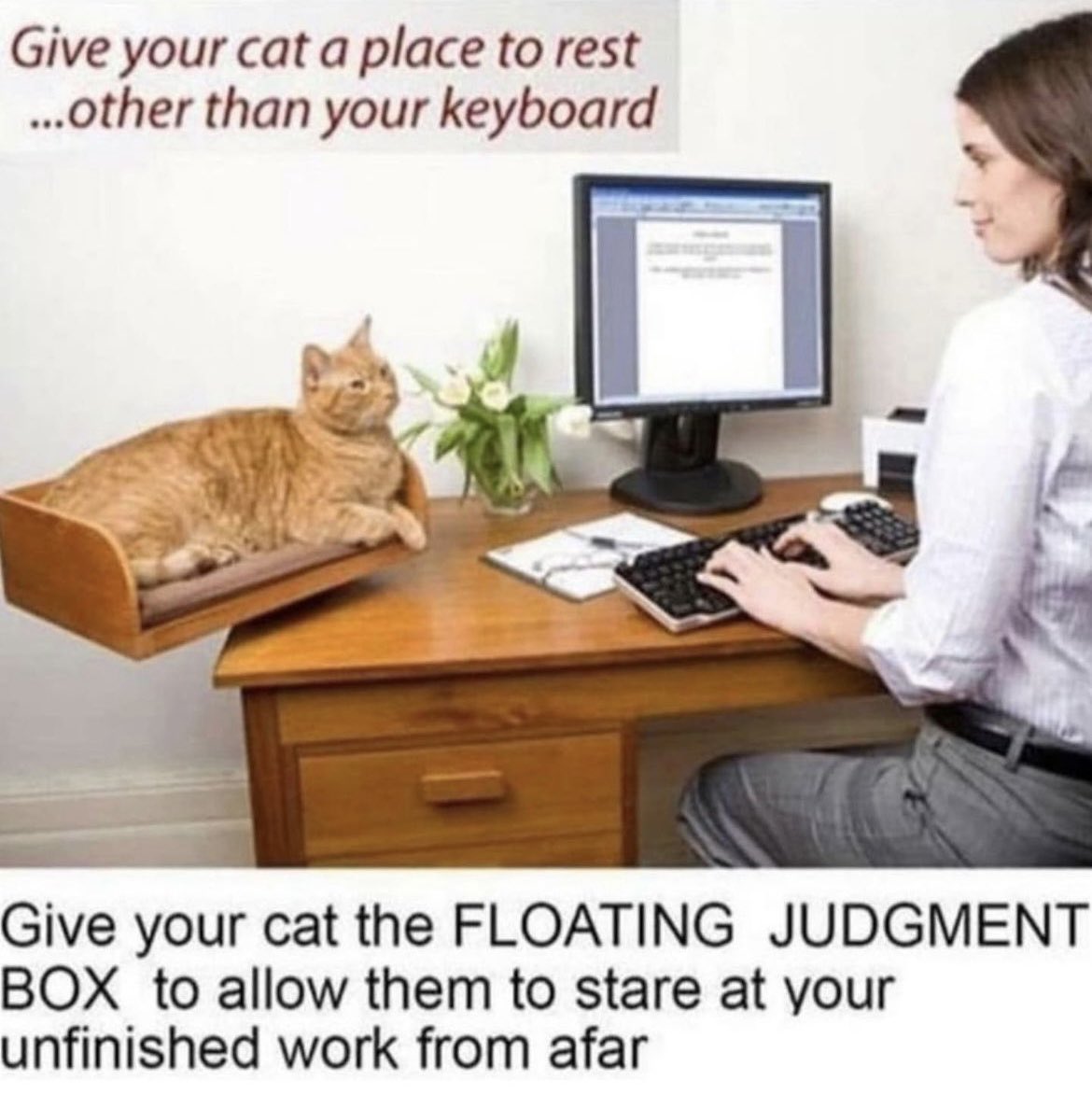 playmoadjprof's tweet photo. I definitely need this https://t.co/uAwwTTBOmo