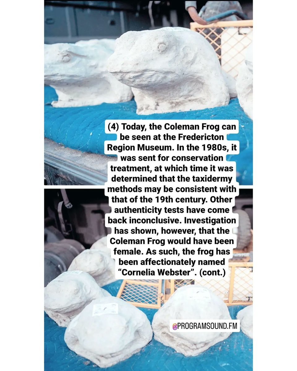 jeffarbeau's tweet image. A lil thank you tweet to @programsoundFM for hosting Cornelia Webster! 

📻 Airing tonight at programsound.fm/radio