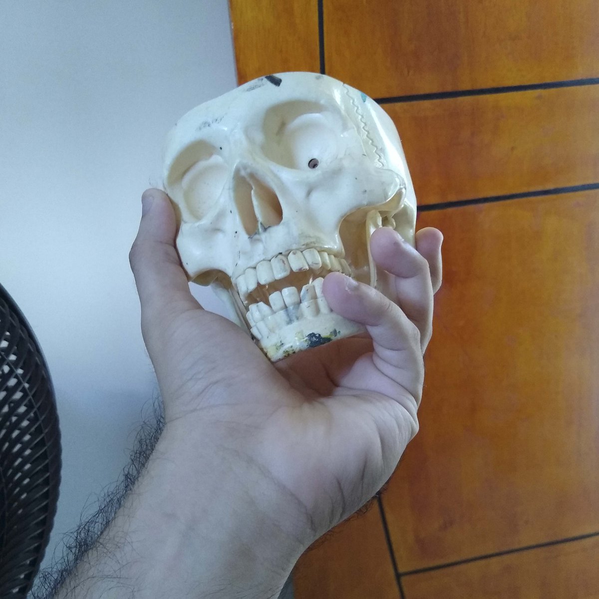giotefeli's tweet photo. Ainda... https://t.co/hdl7X0PqzX
