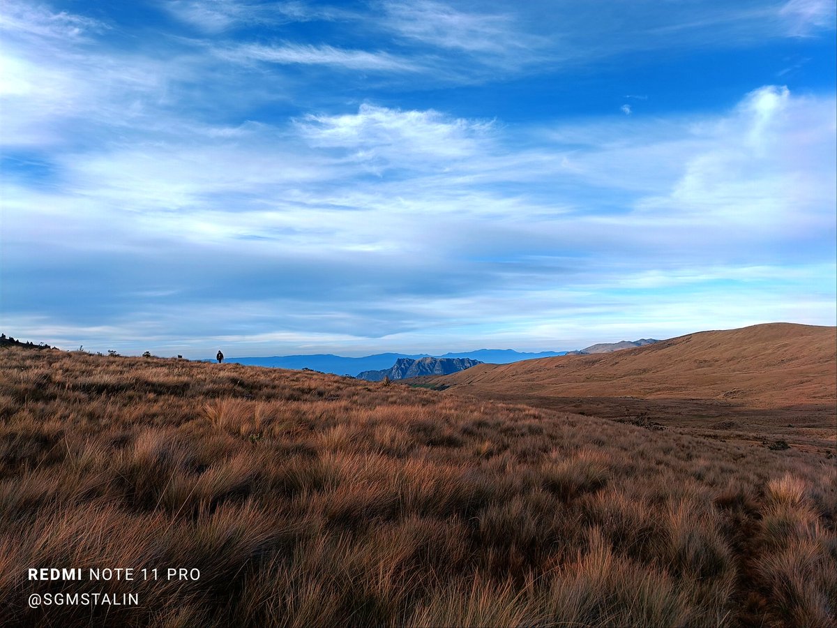 Los paramos son grandes reguladores del agua y carbono. 🫰🏽