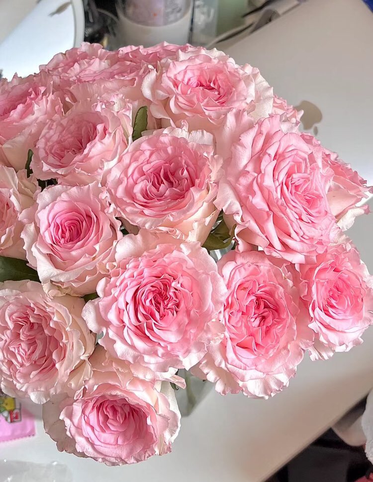 pink flowers for the international pink day