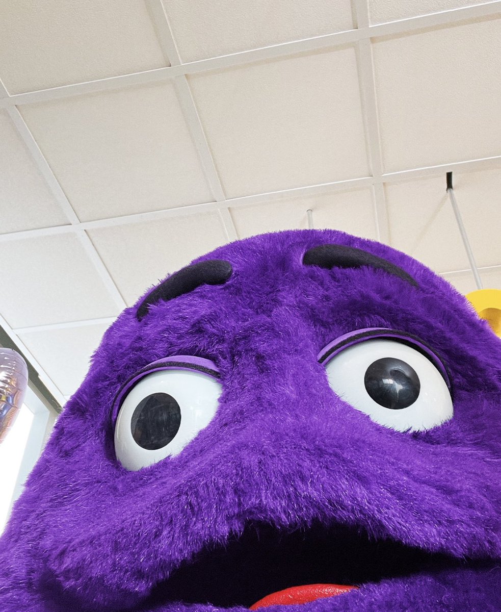 fancy_db's tweet photo. what i see when my man looks up from munchin https://t.co/7FnOALMbgw