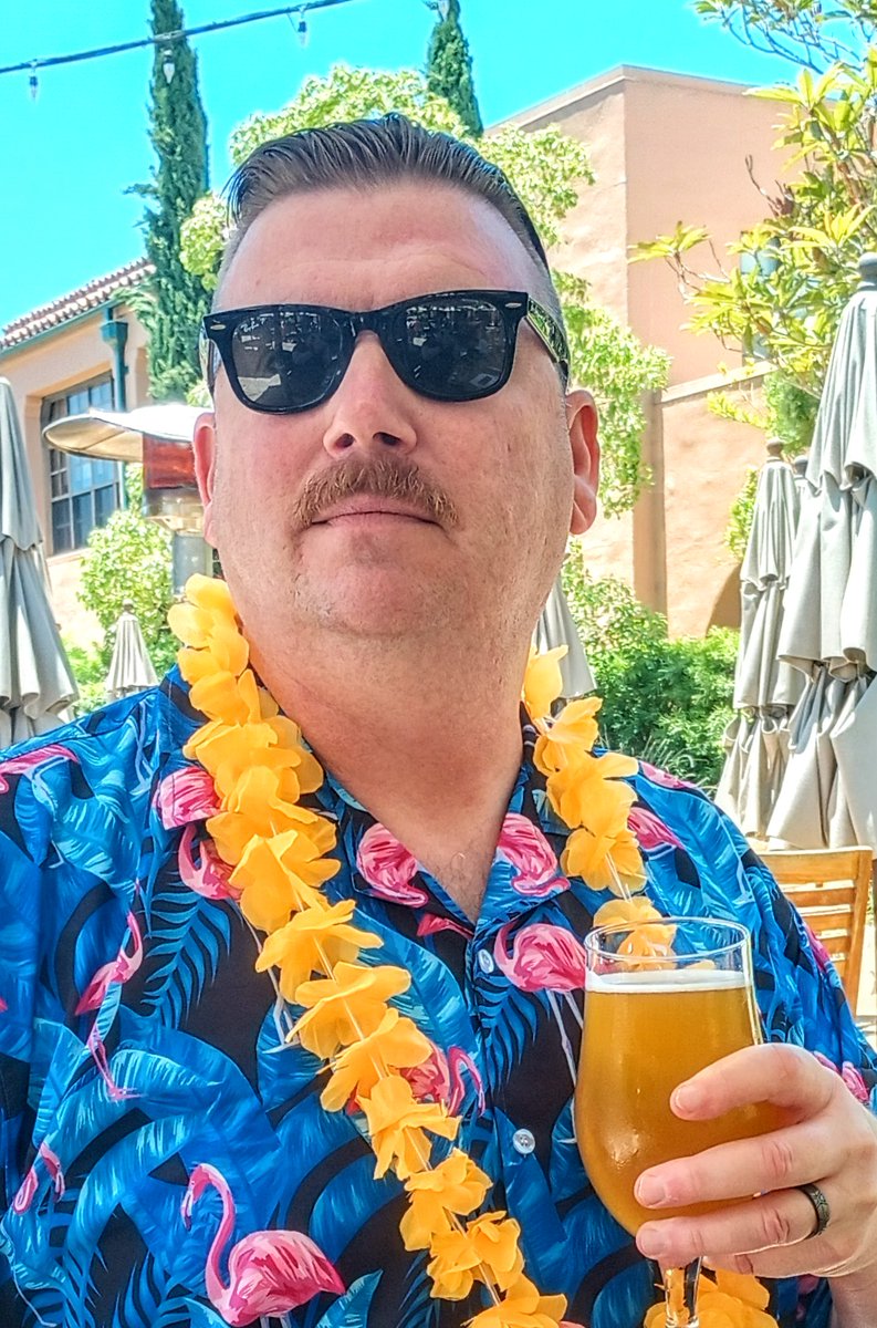 Stevie 🙌 tweet media