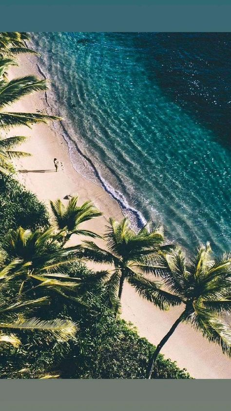 JulieParker144's tweet image. Hebrews 11:35 Women received their dead raised to life again: and others were tortured, not accepting deliverance; that they might obtain a better resurrection:  (Better Resurrection) #reaping #harvest #rapture #ressurection Matthew 27:52