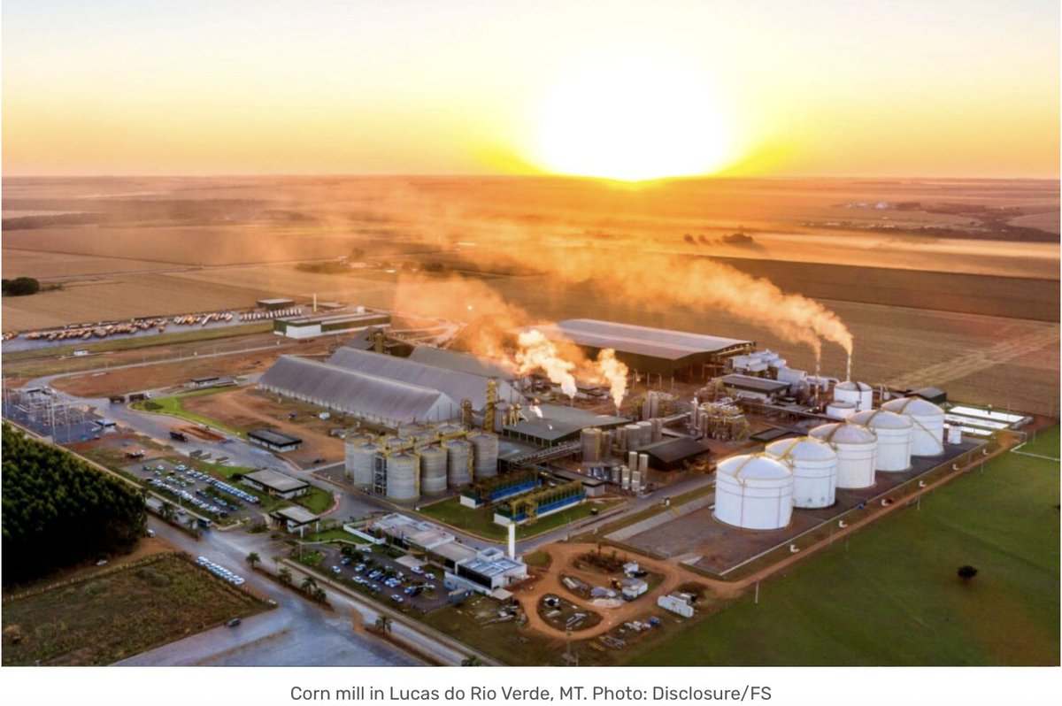 oak_institute's tweet photo. .@ojoioeotrigo @FabioBishpo investigation reveals executives from #FS - Brazilian ethanol joint venture of agribiz baron Bruce #Rastetter (@summit_carbon) - are linked to illegal #deforestation in Amapá & Mato Grosso states. @mittaloak @PlainsAction
https://t.co/e7itqD8IPs https://t.co/bdqSQgUbJF