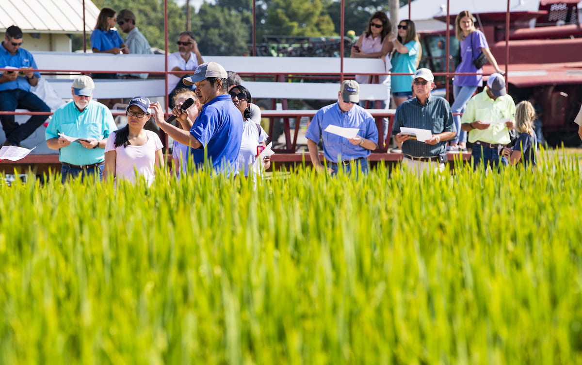 usaricenews's tweet photo. Coming soon to a #rice field near you: we rounded up a list of field days happening in July. Mark your calendar &amp; plan to attend the events in your area. https://t.co/BmlIzgXIY7 😎 https://t.co/TJjq3WMr0p