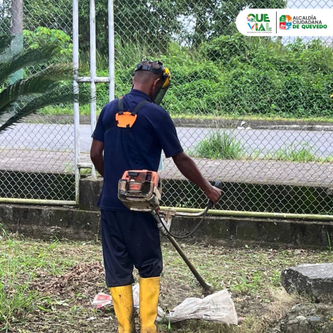 QUEVIAL_EP's tweet photo. #QUEVIALinforma || Iniciaron los trabajos de mejoramiento en la Terminal Terrestre de Quevedo; con el objetivo de brindar un mejor servicio e imagen a nuestros usuarios. 

👨🏻‍🌾 Los tareas incluyen: limpieza de parterres, corte de maleza, poda de plantas ornamentales y árboles. https://t.co/IL2QGd83gI