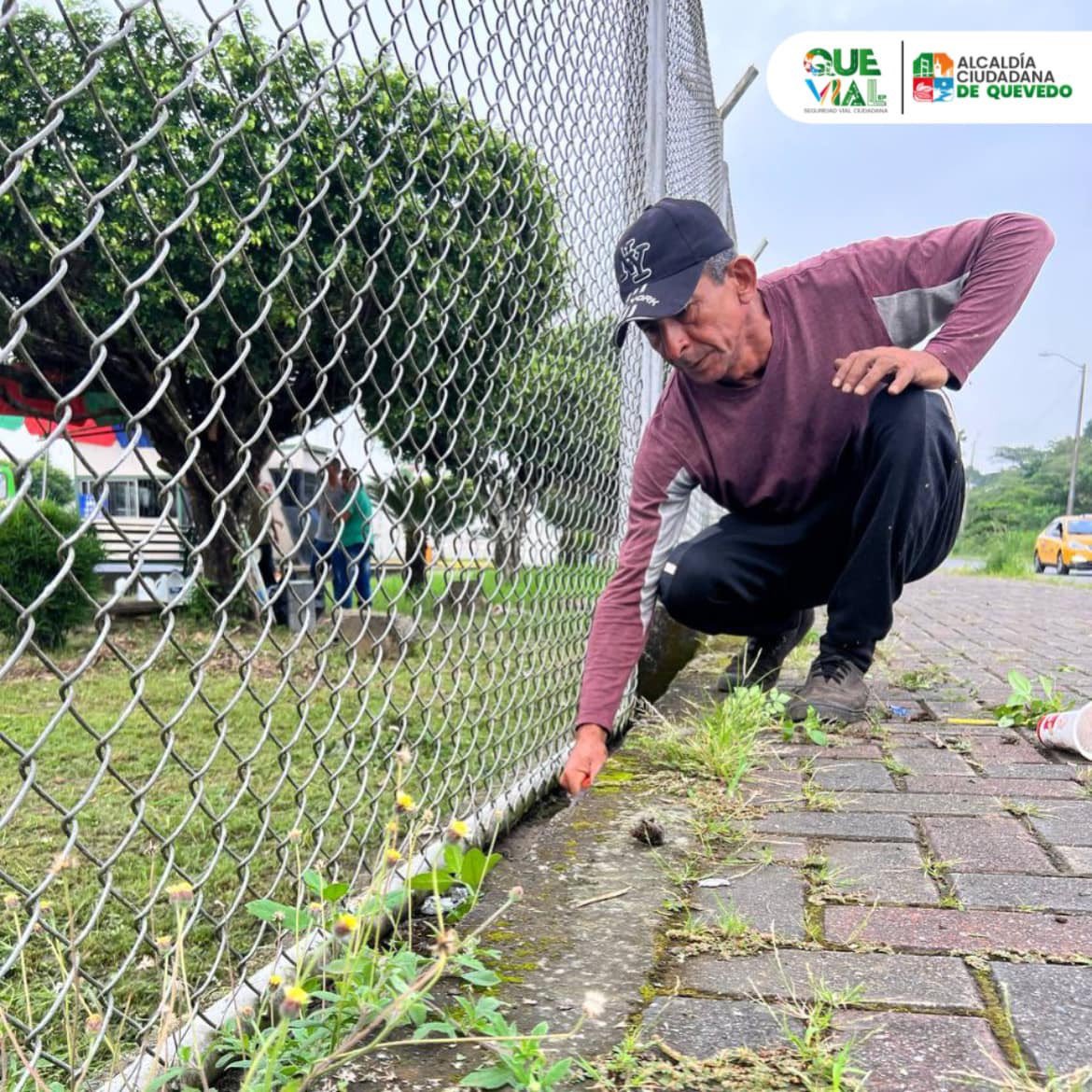 QUEVIAL_EP's tweet photo. #QUEVIALinforma || Iniciaron los trabajos de mejoramiento en la Terminal Terrestre de Quevedo; con el objetivo de brindar un mejor servicio e imagen a nuestros usuarios. 

👨🏻‍🌾 Los tareas incluyen: limpieza de parterres, corte de maleza, poda de plantas ornamentales y árboles. https://t.co/IL2QGd83gI