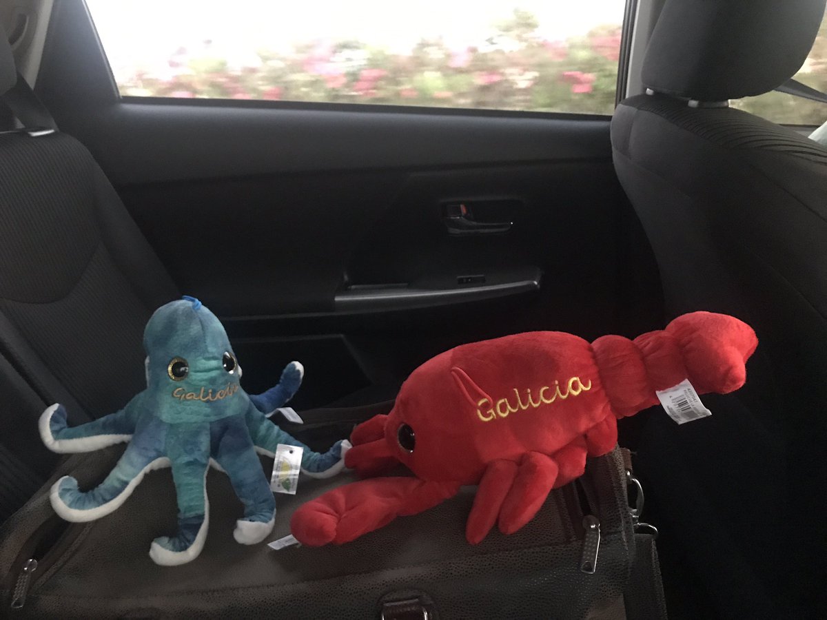 A Herrero de Haro tweet media