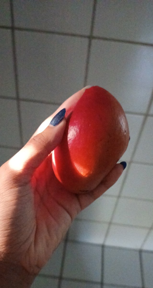 mandfromoon's tweet photo. A pessoa me liga "Amanda, qual o número da tua casa mesmo? Tô aqui na frente, tenho uma coisa pra ti"
Abro o portão 
A surpresa: https://t.co/nFsBlcXbKf