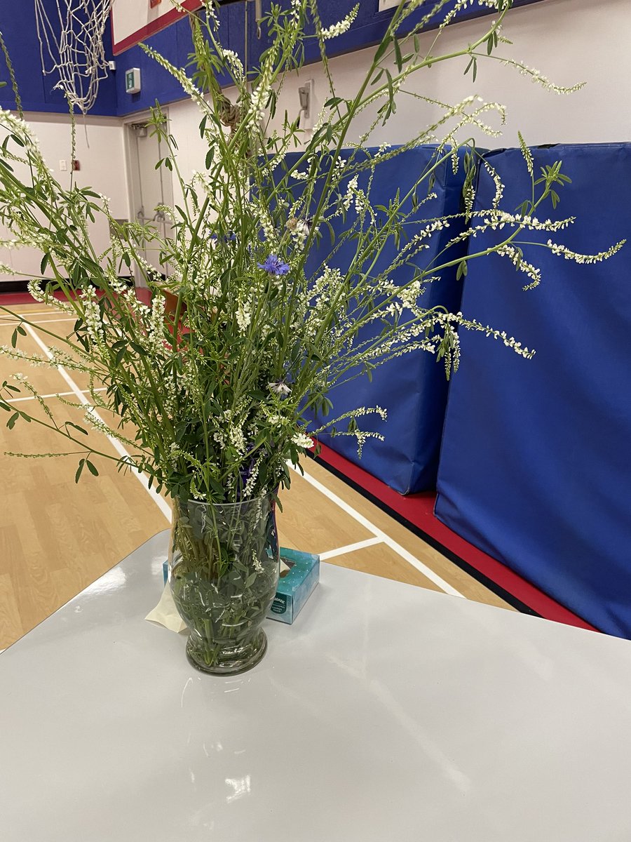 Maple Lane Lightning tweet media