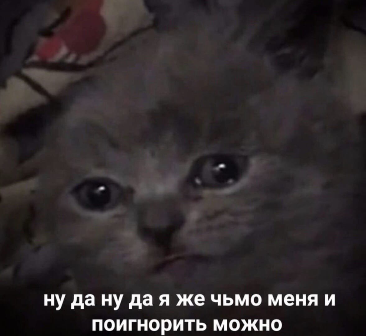 DONTworryMOONE's tweet photo. @godnoscop Всё скорпионы сейчас би лайк: https://t.co/Xa5ywYNwDR