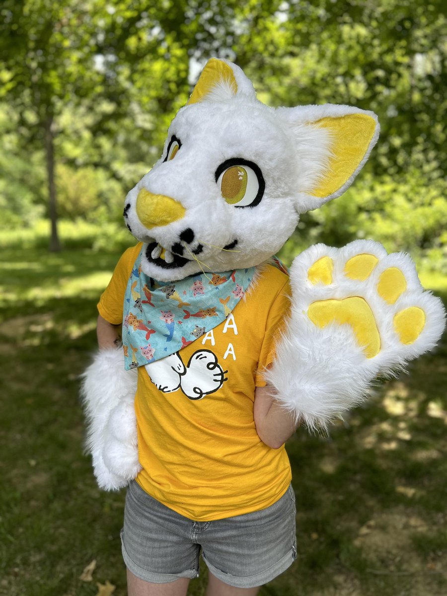 FoxFloofStudio's tweet photo. Do you want to be a kitty for #FursuitFriday at #Anthrocon next week? Do you also like sushi? This kitty is looking for a home and can be bought in advance or at AC artist alley on Friday!!! Looking for 2k for this meow meow! 
More details ⬇️⬇️ https://t.co/t6HhiDaZDP
