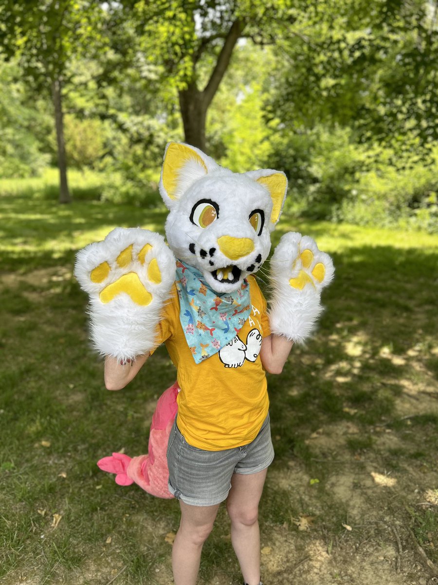 FoxFloofStudio's tweet photo. Built on a modified kloofsuits big cat foam pattern base. Paws using kloofsuits suits pattern too. Shrimp tail has zipper for easy cleaning. They will also come with a merkitty bandana! Head is accommodating and can fit most, lined and has a back zipper https://t.co/HoUqNqXQYg