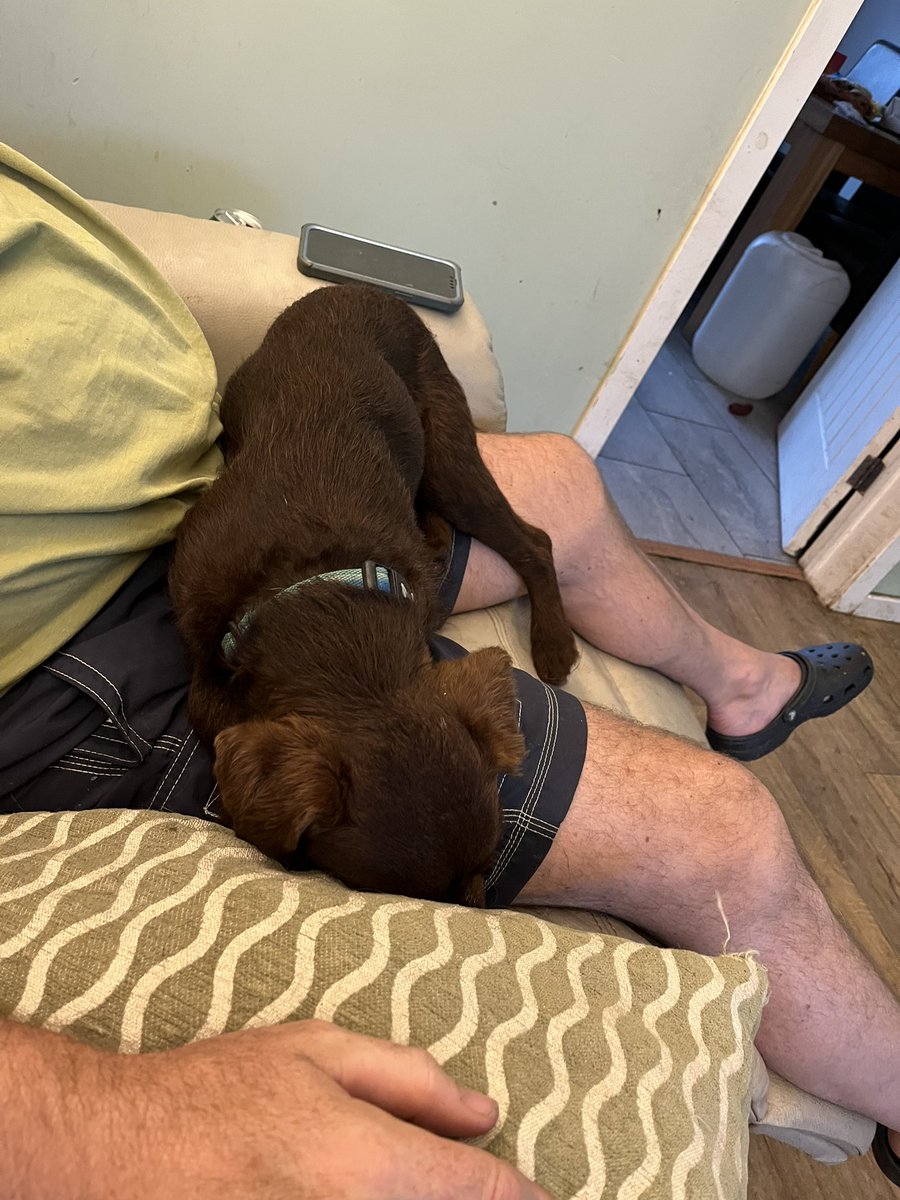 Hoodaddy has been on that laptop malarkey working tonight. Eventually, he’s moved it!!!!