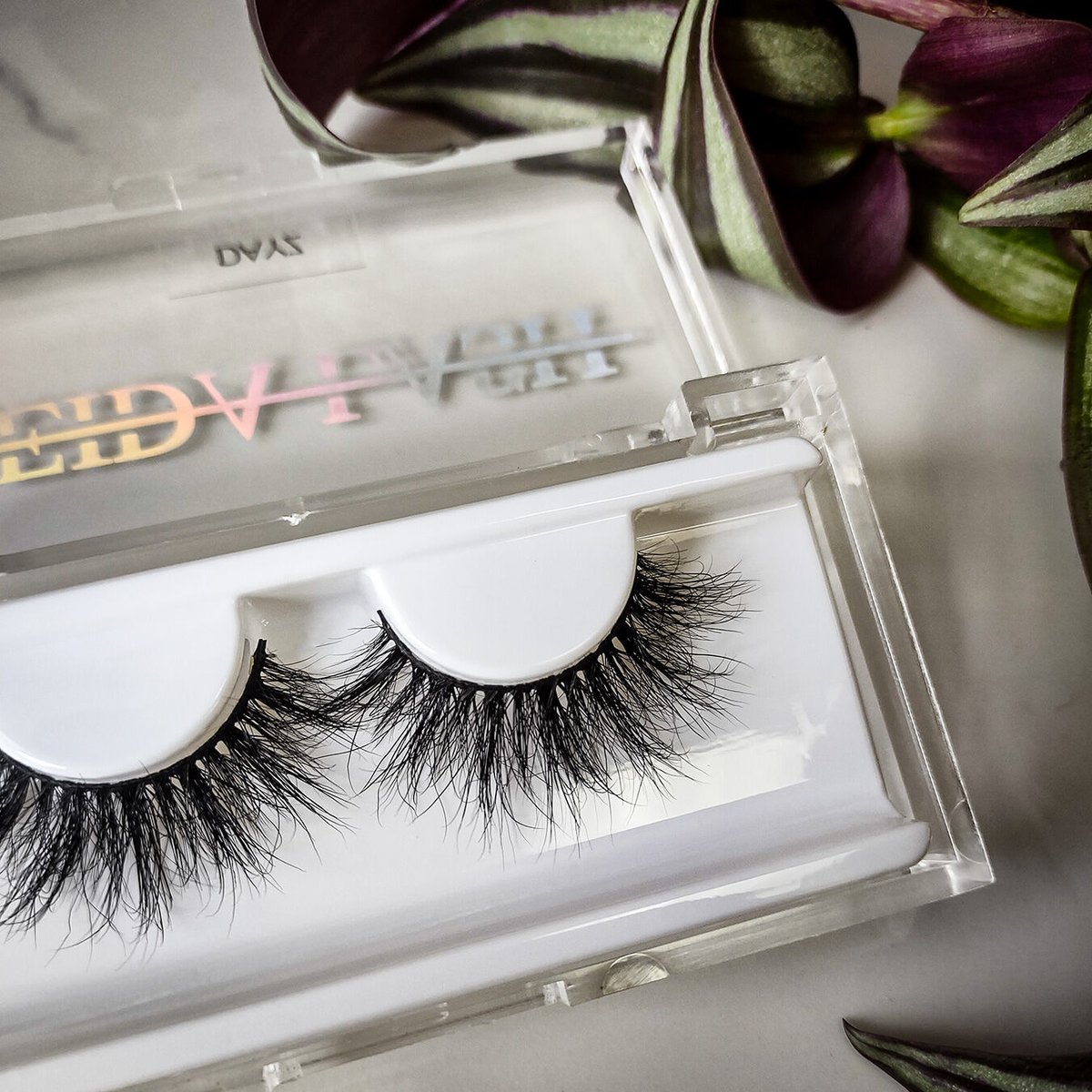 LeidaLash's tweet photo. Lashes for Dayz!

#lashes #makeup #makeupartist #beauty #looks #stytle #Lux #minklashes #striplashes #Lashtime #eyelashes #eyeshadow #eyemakeup #eyeliner https://t.co/GzC3Np5E8k