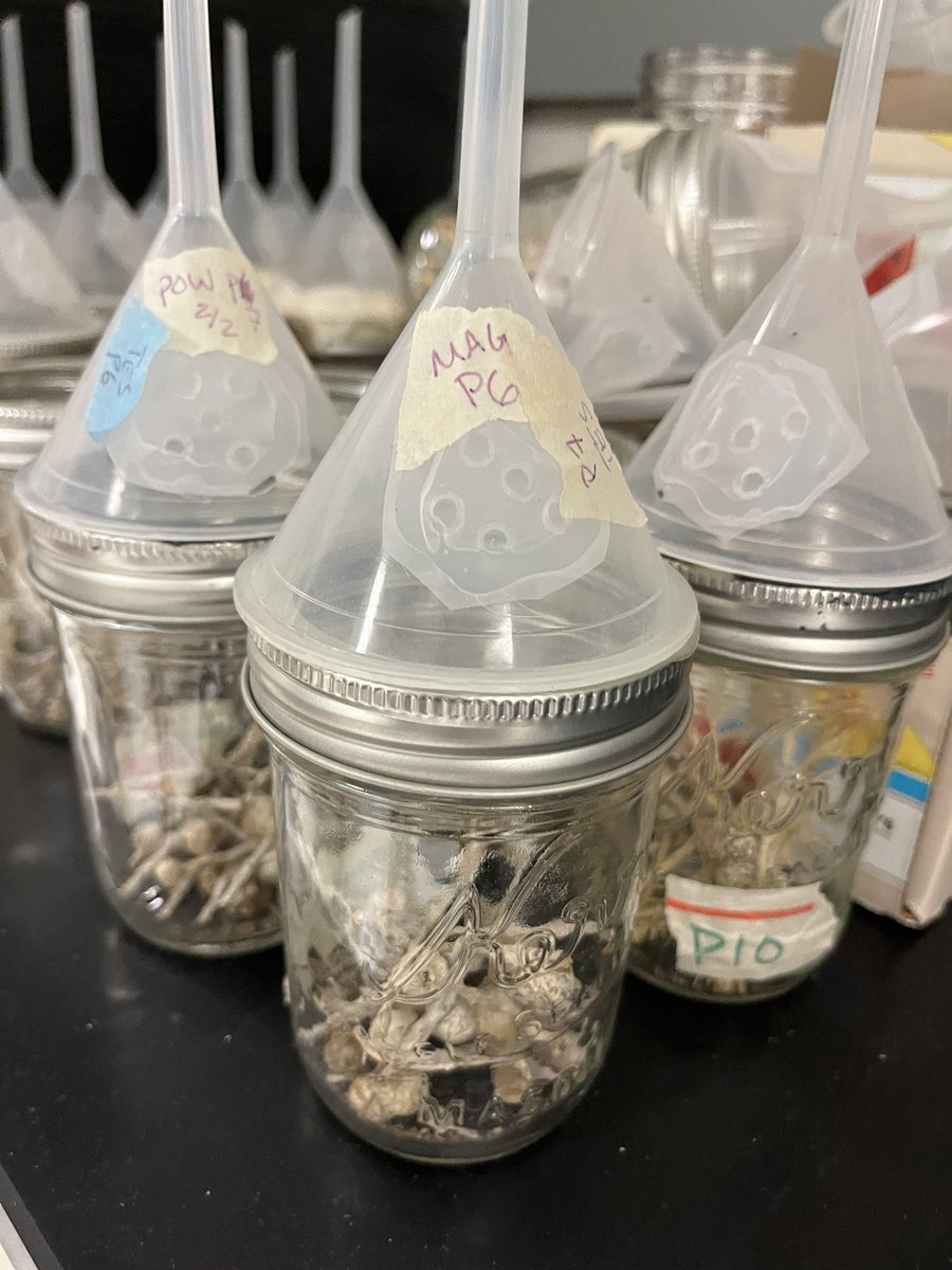 Scott P. Egan tweet media