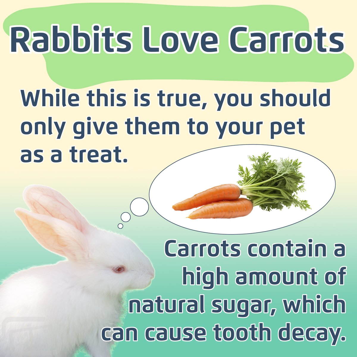 Lookout Lunch Box tweet media