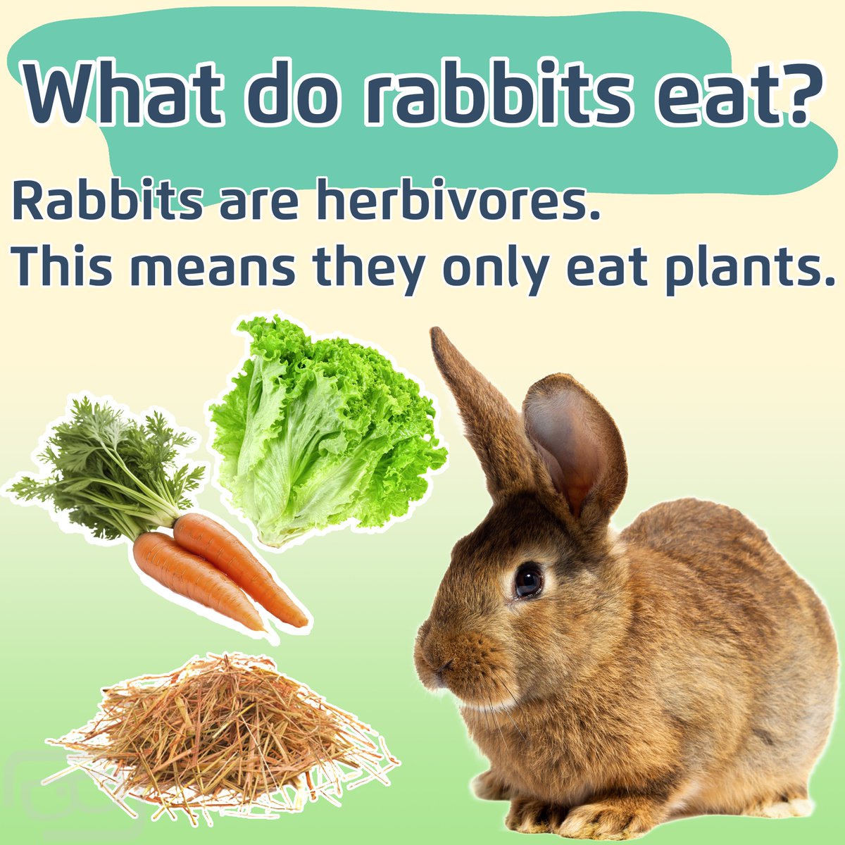 Lookout Lunch Box tweet media