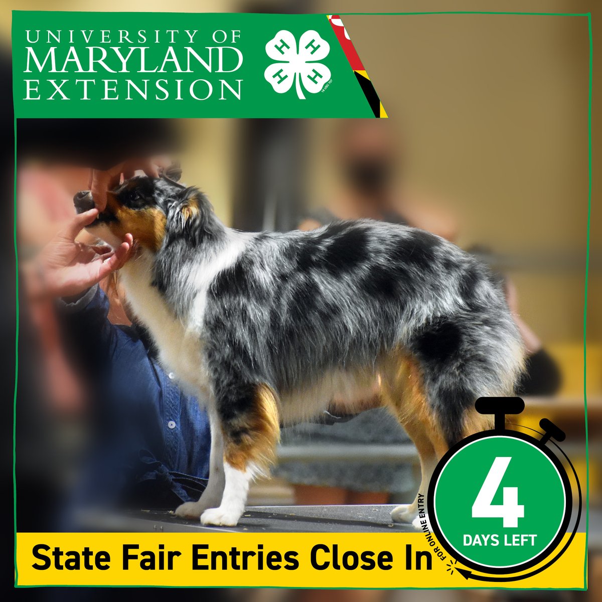 Maryland4H's tweet photo. Hurry, don't be late! There are only 4 days left to put in all your entries for the Maryland State Fair!
Go to https://t.co/ytMxAPkSeQ
#4h #MarylandStateFair #3GreatWeekends #FairsAndShows #Animals #Art #STEM #Skills #Contests #tractors #engines ๐ https://t.co/PKRQgc2d4X