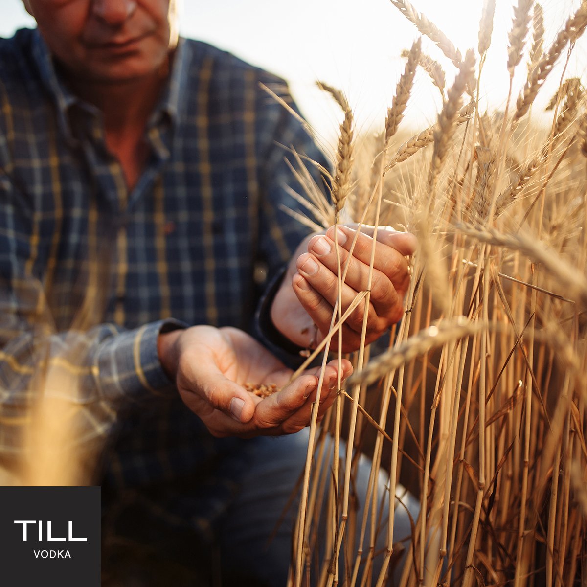 Tomorrow is National Farmer Day and, at TILL Vodka, we owe everything to them. So join us in raising a glass to the farmers of the heartland.