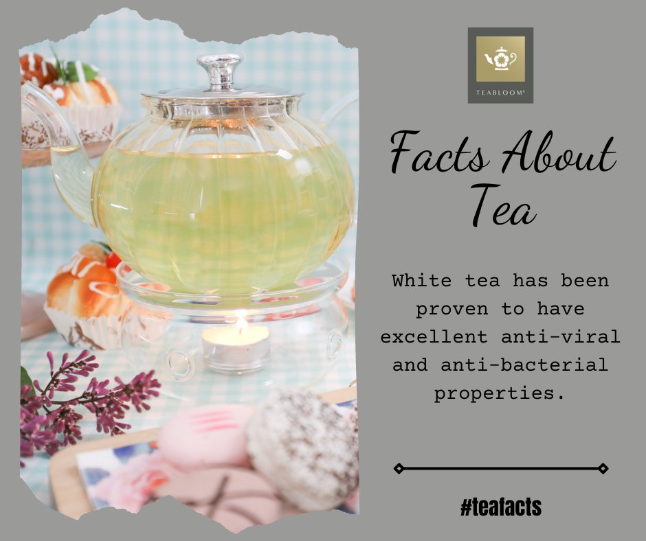 teabloom's tweet photo. Drinking white tea protects you from infections. #teafacts #teabloom https://t.co/6Na8XhBXNA