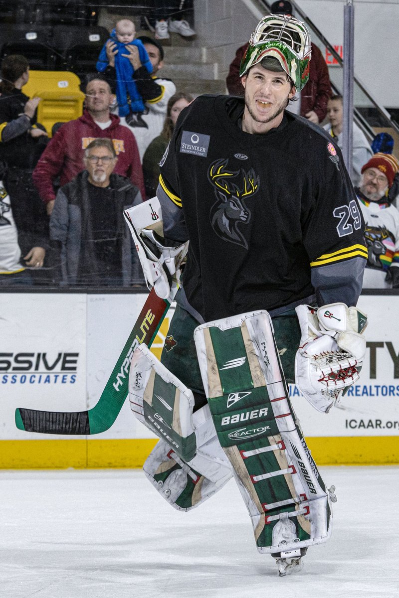 Jonesy is back with the Wild 🦌🦌