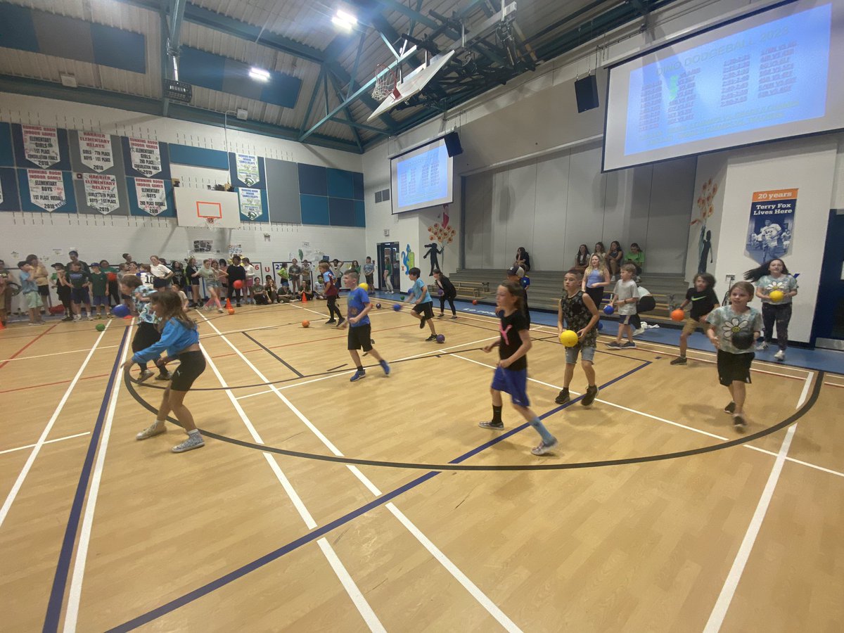 mm_school's tweet photo. DINO DODGEBALL at MM this afternoon!!!! https://t.co/lahYL3QkUE