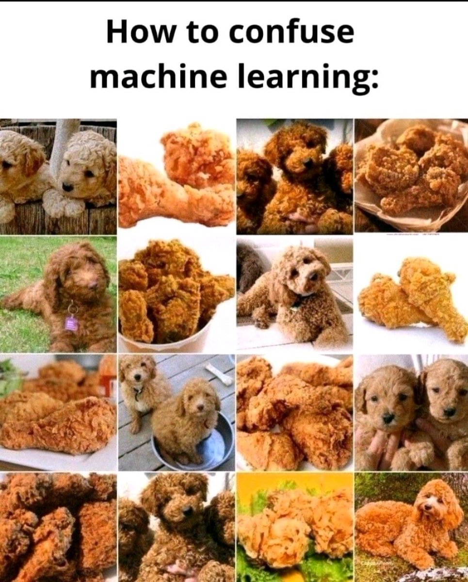 DataScienceDojo's tweet photo. π Time for you to take a short break. Here is a weekly data science joke, hoping it to bring laughs for you all.
#DataScience #Weekend #WeeklyJoke #DSDojo https://t.co/9HTmSAvXOR