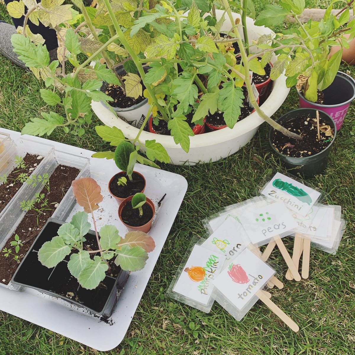 V is for Veggies! 🥒🍅🥕

Today we planted veggies in our garden! We also snacked on yummy carrots, cucumbers &amp; cherry tomatoes!