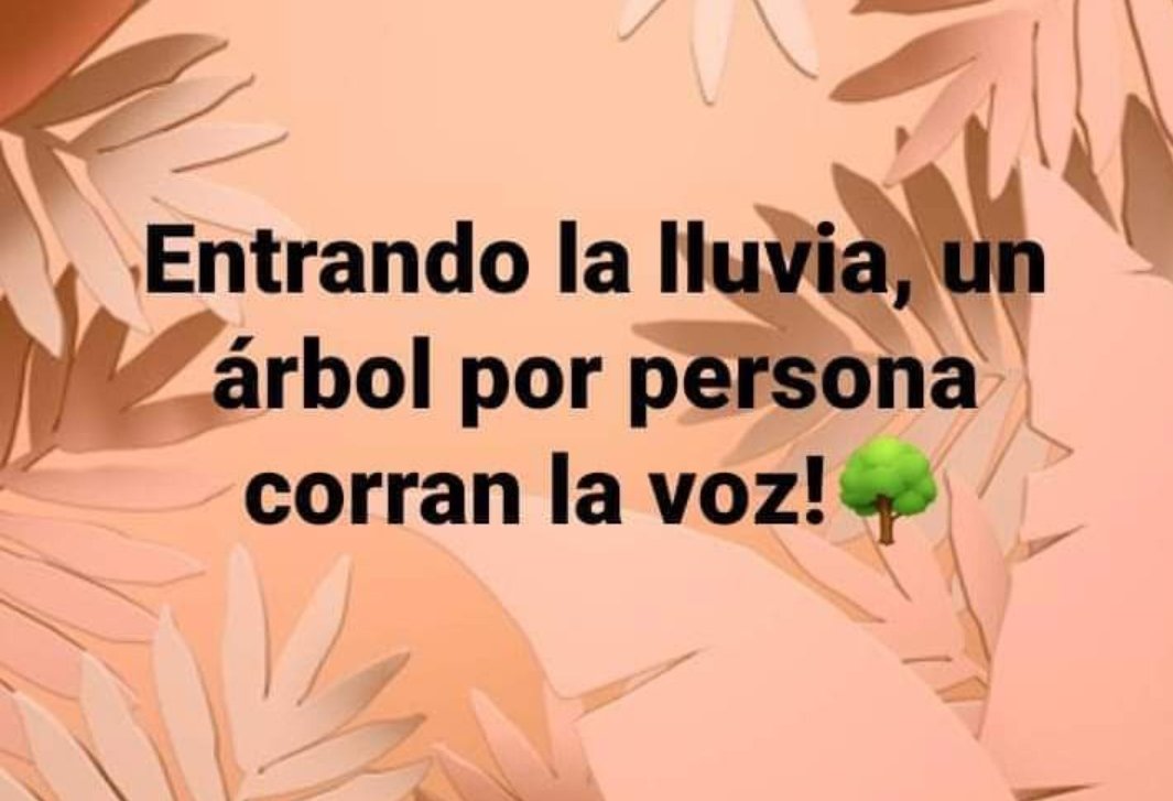 #CorreLaVoz/Desde hace 40 años cada vez que comienzan las lluvias sembramos un árbol. Te imaginas si cada uno de los 8 mil millones de habitantes del planeta lo hacemos.
El cambio comienza contigo.
Ya comienzan las lluvias, siembra tú árbol! #UnArbolPorPersona