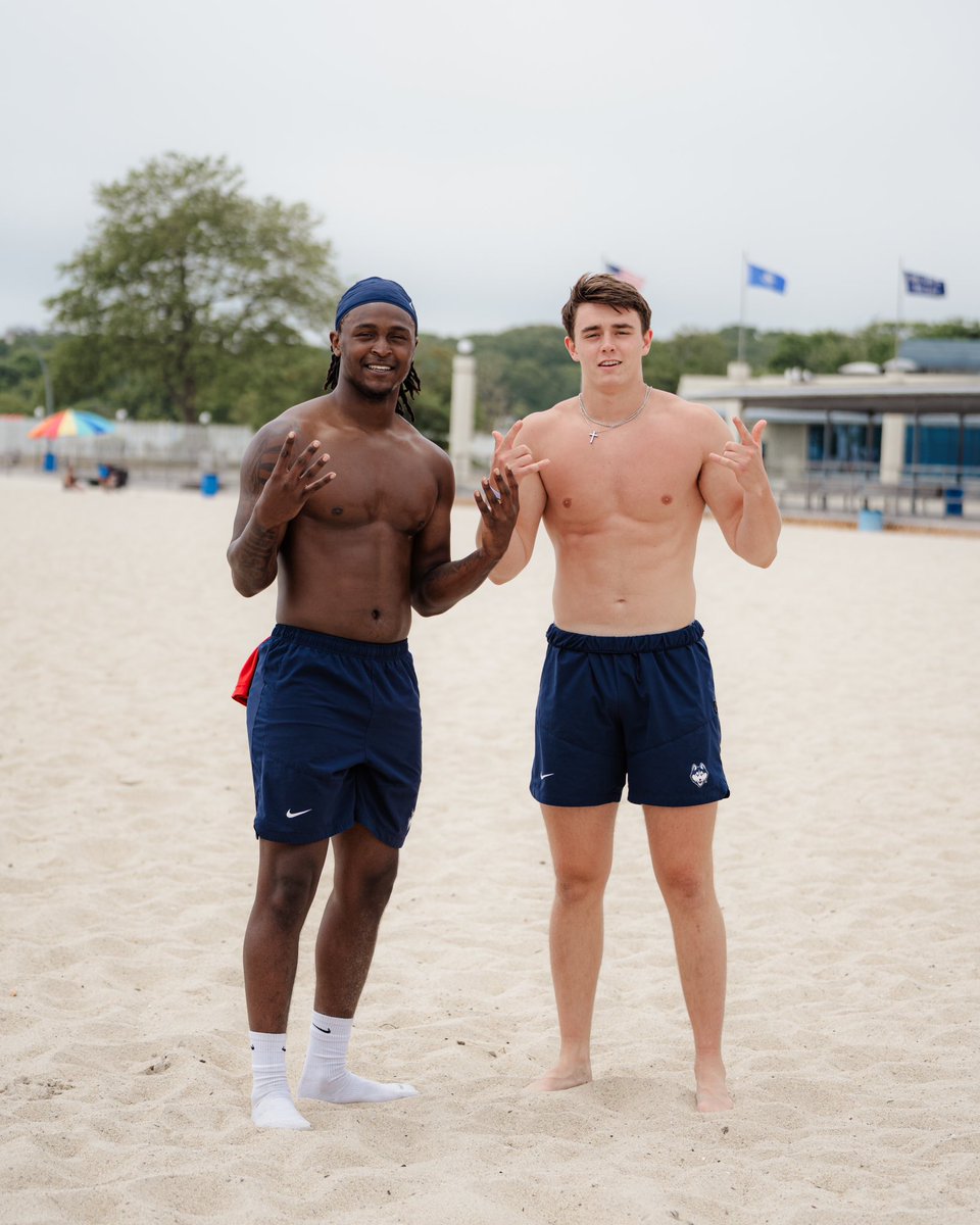 🐺➡️🏖️ #TheReload