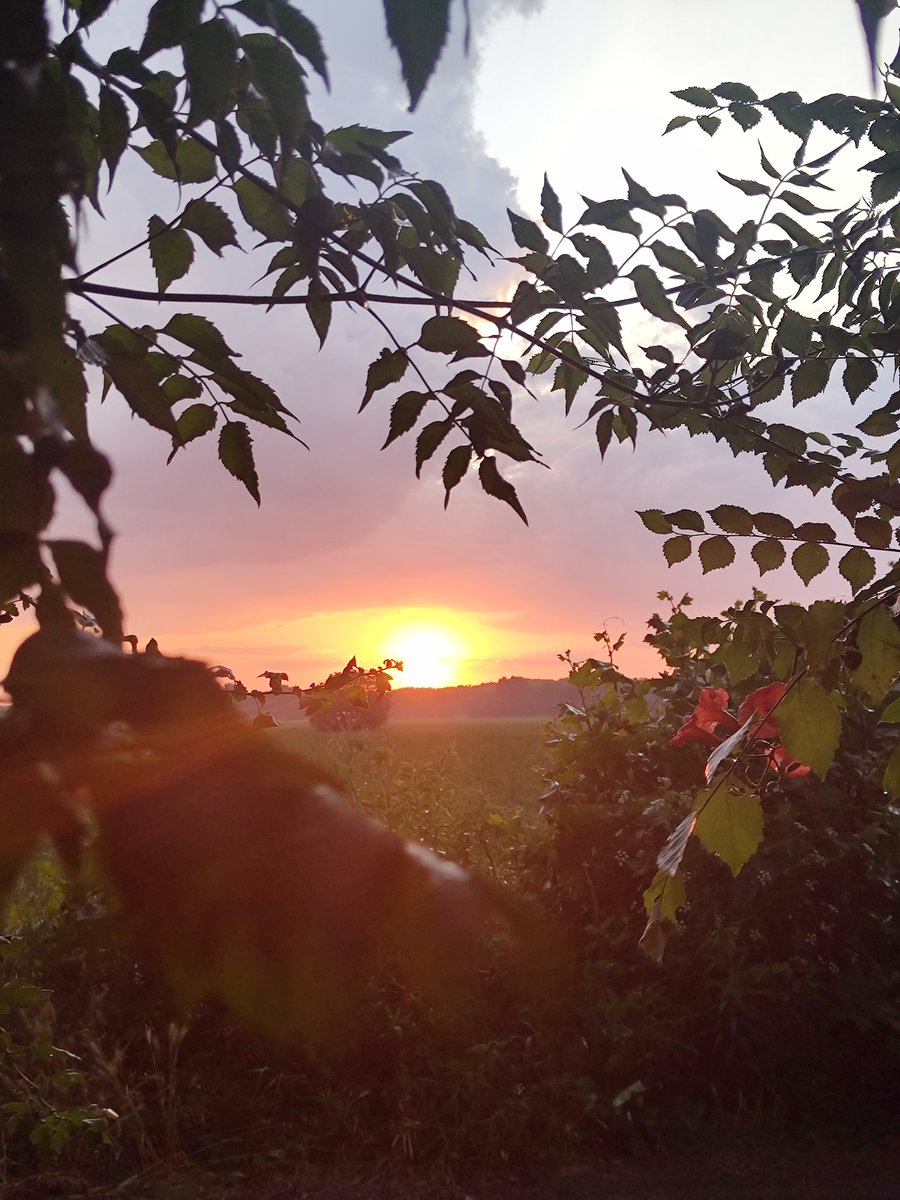 Gn, see you tomorrow for Darkbank.
gattazzo.typeform.com/DARKBANK
linktr.ee/gattazzo