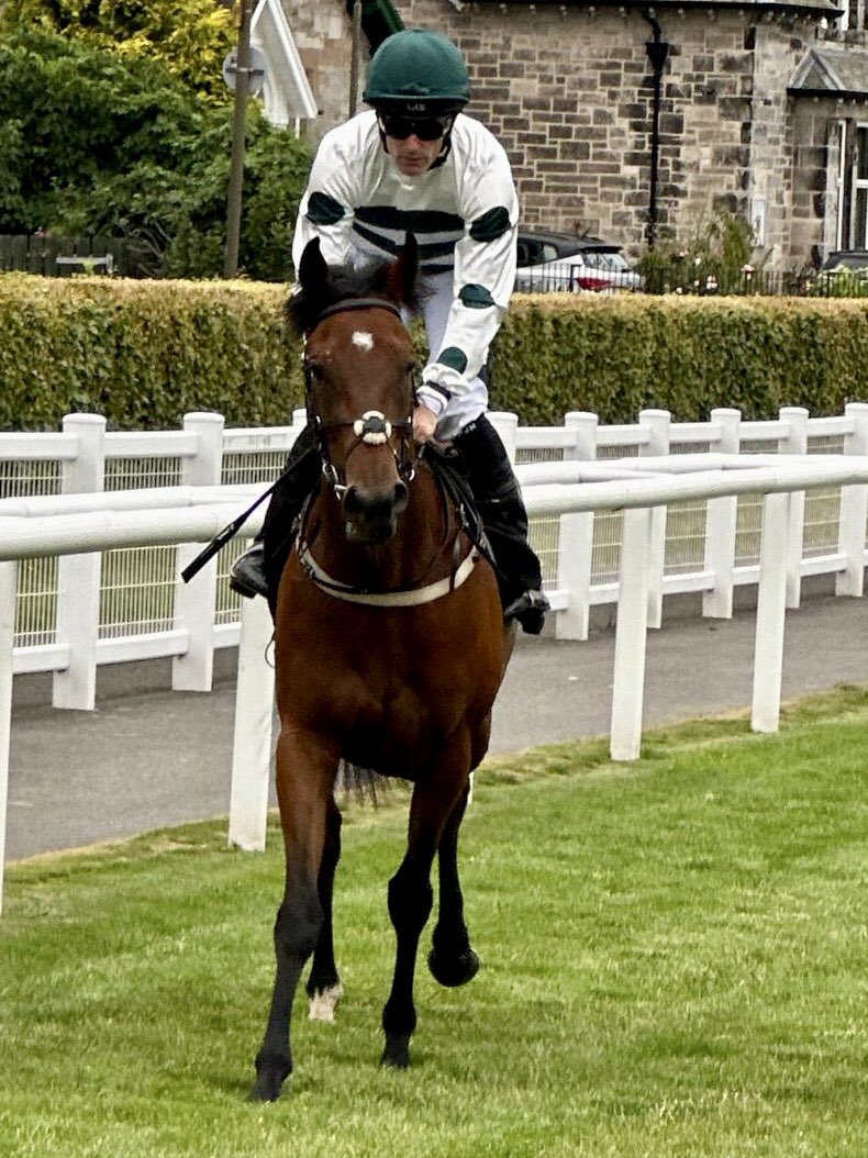 We had a nice double @MusselburghRace this evening courtesy of Sophiesticate brilliantly ridden by Mark Winn & @SummerstormBlo1’s Rock Melody under a peach from @PMulrennan !