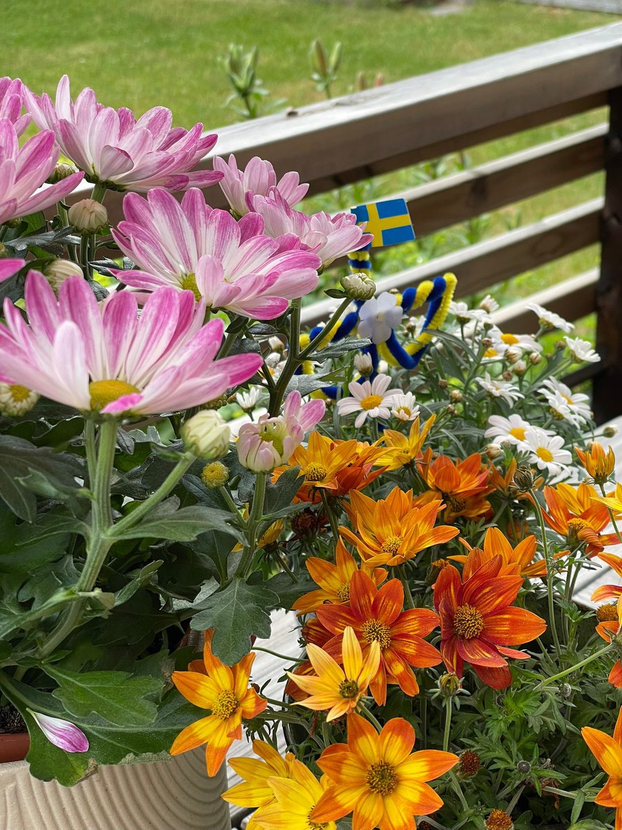 Glad Midsommar🌸 till alla kompisar o kollegor <a href="/UmuEpiGH/">Umeå Epidemiology and Global Health</a> <a href="/umeauniversity/">Umeå University</a> <a href="/UmeaKommun/">Umeå kommun</a> <a href="/RegionVbtn/">Region Västerbotten</a> #umeå #umea
#Sverige #Sweden